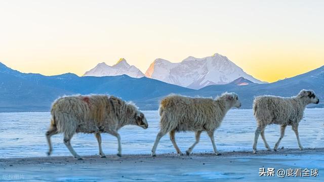 步天堂！西藏库拉岗日雪山圣湖美到窒息开元棋牌app藏在喜马拉雅深处的徒(图9)