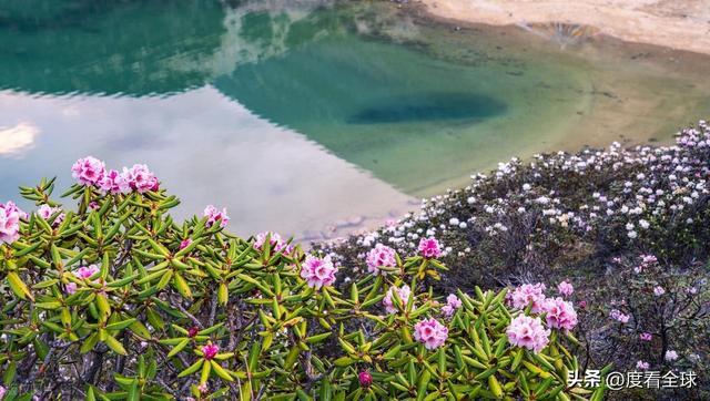 步天堂！西藏库拉岗日雪山圣湖美到窒息开元棋牌app藏在喜马拉雅深处的徒(图18)
