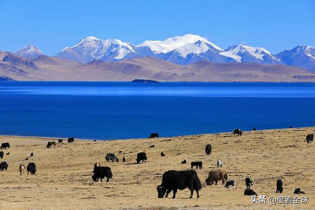 步天堂！西藏库拉岗日雪山圣湖美到窒息开元棋牌app藏在喜马拉雅深处的徒(图29)